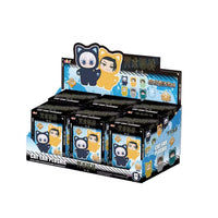 6 Mystery Boxes